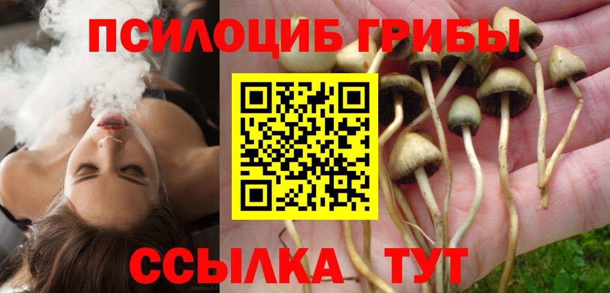 Галлюциногенные грибы ЛСД Лесной