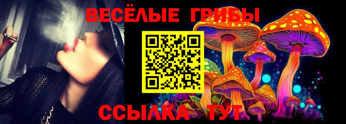 Галлюциногенные грибы Cubensis  Вход с VPN  Лесной 